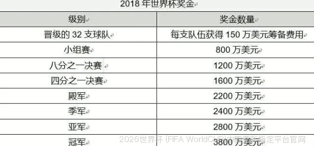 核心团队与专业资质